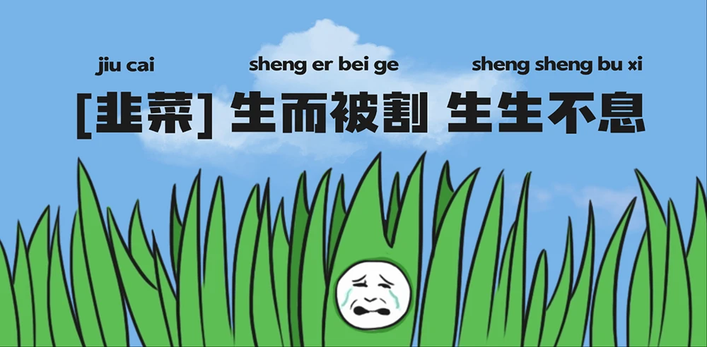 图片[3]-警惕！这些 “赚钱项目” 全都是割韭菜-深度互联